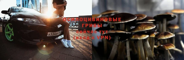 молекула духа Аркадак