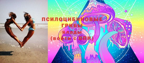 молекула духа Аркадак